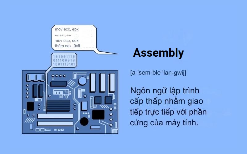 Assembly là gì