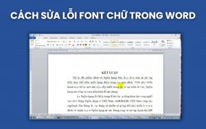 lỗi font chữ trong Word