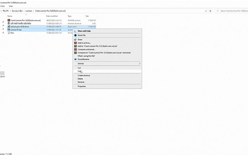 copy 2 file lumion